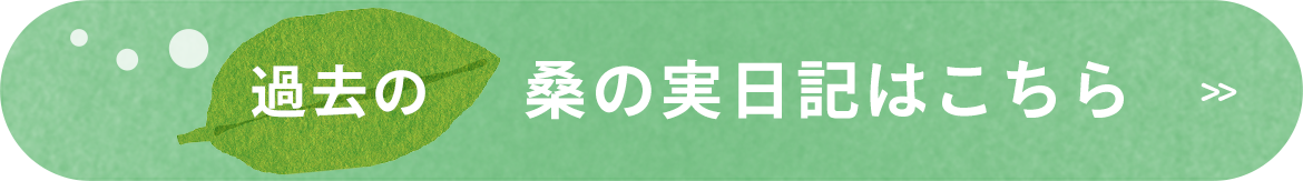 過去の桑の実日記はこちら