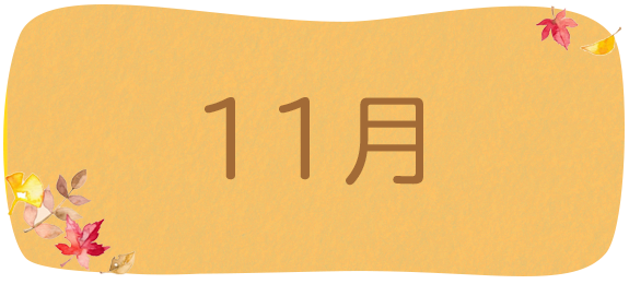 11月